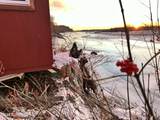 23168 Talkeetna Spur Road - Photo 35