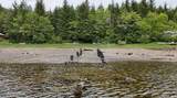 000 No Road, Hidden Inlet - Photo 42
