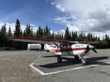 91.5 Denali Park Road - Photo 2