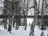 Tr I No Road - Photo 9