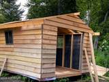Tr C-2 Mount Susitna - Photo 16