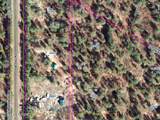 23580 Bobcat Trail - Photo 13
