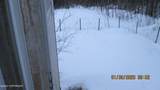 6635 St Herman Street - Photo 11