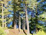 L6B3 Coffman Cove - Photo 43