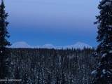 B5 L5 No Road Talkeetna S. Bald Mt. - Photo 3