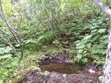 B5 L5 No Road Talkeetna S. Bald Mt. - Photo 48