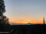 B5 L5 No Road Talkeetna S. Bald Mt. - Photo 5