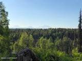 B5 L5 No Road Talkeetna S. Bald Mt. - Photo 58
