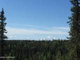 B5 L5 No Road Talkeetna S. Bald Mt. - Photo 8