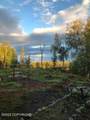 B5 L5 No Road Talkeetna S. Bald Mt. - Photo 83