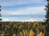B5 L5 No Road Talkeetna S. Bald Mt. - Photo 9