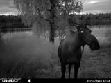 L18 B3 No Road - Photo 42