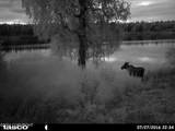 L18 B3 No Road - Photo 43