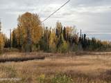 Tr A Horseshoe Lake Road - Photo 4