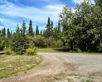Mile 8.9 Edgerton Hwy - Photo 44