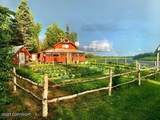 100 Holitna River - Photo 1