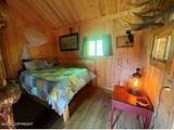 100 Holitna River - Photo 22
