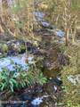 6 Nanny Bay - Photo 8