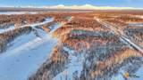 32500 Talkeetna Spur Road - Photo 1