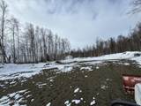 32500 Talkeetna Spur Road - Photo 10