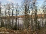 32500 Talkeetna Spur Road - Photo 12