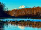 32500 Talkeetna Spur Road - Photo 2
