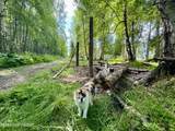 32500 Talkeetna Spur Road - Photo 6