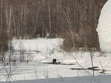 32500 Talkeetna Spur Road - Photo 8