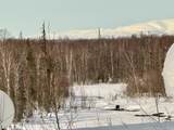 32500 Talkeetna Spur Road - Photo 9