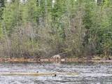 TL-215 Old Valdez Trail - Photo 35