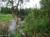 000 No Road Alexander Creek - Photo 14