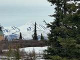 51020 Summit Loop - Photo 3