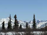 51020 Summit Loop - Photo 4
