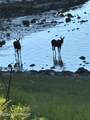 Marker 15 Wrangell Narrows - Photo 9