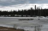 Mi 147.5 Richardson Highway - Photo 19