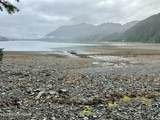 57739 Seldovia Bay Lease - Photo 80