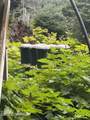 57739 Seldovia Bay Lease - Photo 92