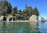 57739 Seldovia Bay Lease - Photo 95