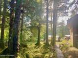 16A Steep Road - Photo 102