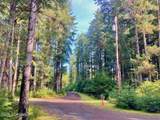 16A Steep Road - Photo 104