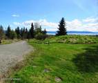 40055 Johnna Circle - Photo 43