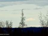 1113 Fireweed Lane - Photo 8