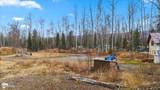 4317 Sandhill Crane Street - Photo 10