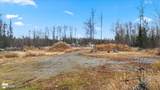 4317 Sandhill Crane Street - Photo 9