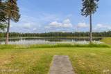 29074 Cohoe Loop Road - Photo 29