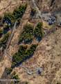 40561 Misty Ridge Road - Photo 17
