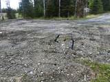 23650 Lost Street - Photo 43