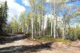 60.5 Tok Cut Off Highway - Photo 44