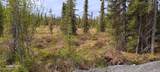 L3B2 Crooked Creek Road - Photo 19