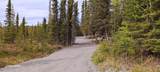 L3B2 Crooked Creek Road - Photo 3
